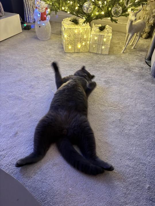 Christmas Eve Eve Wishes 🎅🏻