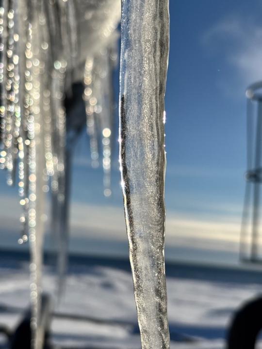 Adrián Prieto Rodríguez