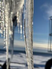 Adrián Prieto Rodríguez