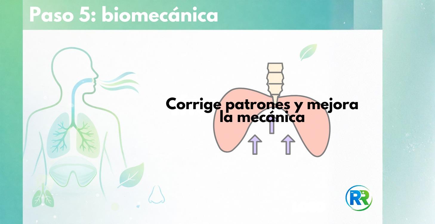 Paso 5: biomecánica