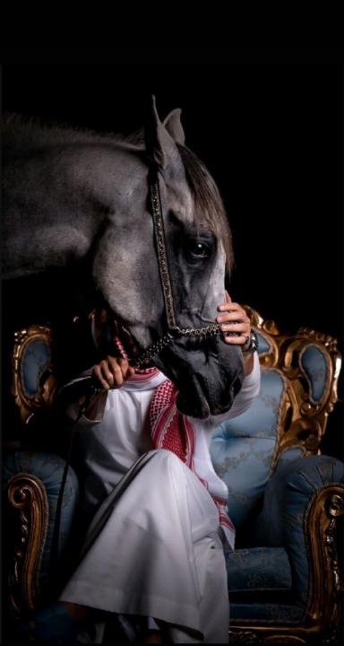 Saif Alotaibi