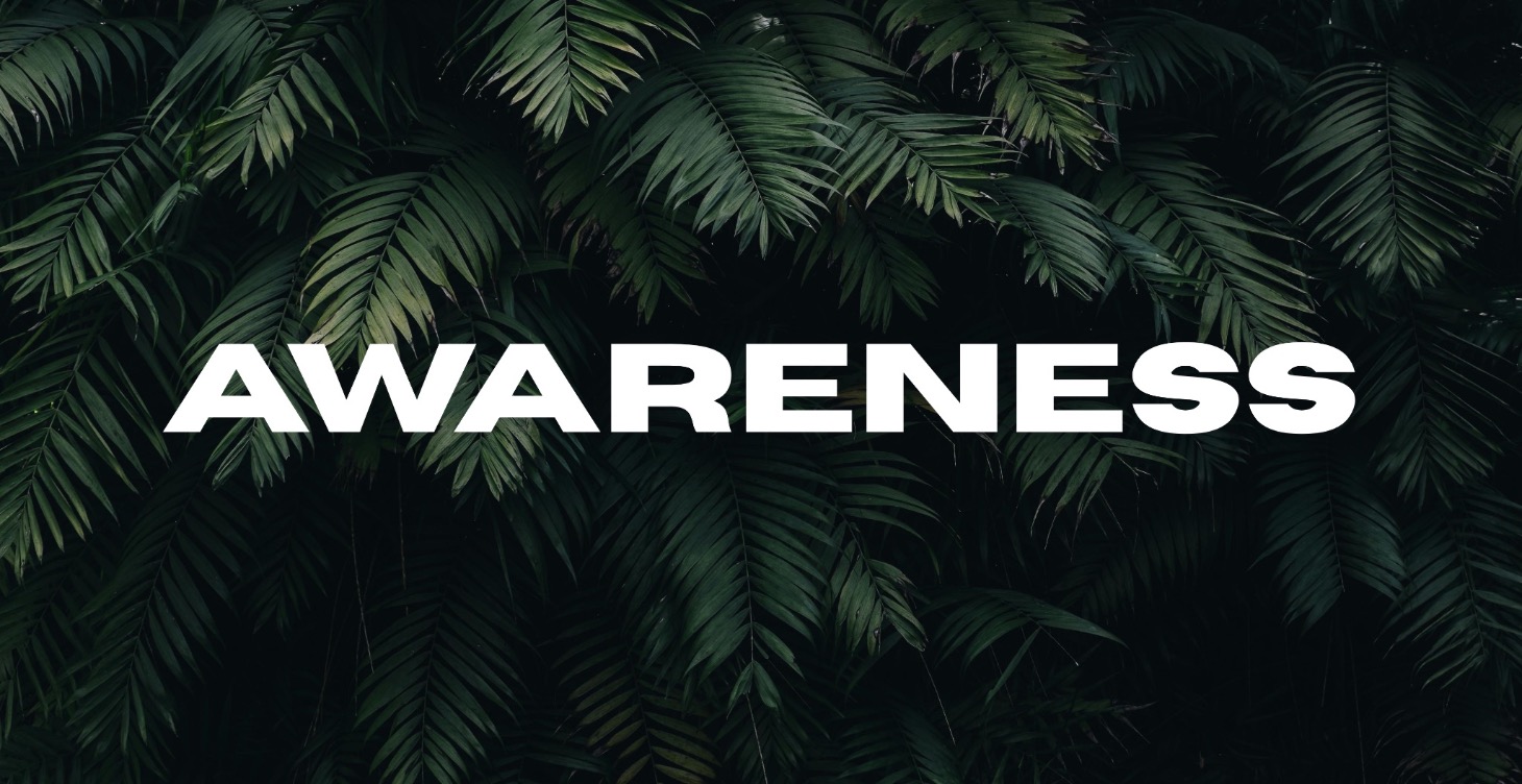 Awareness