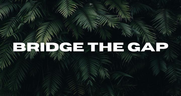 Bridge the Gap