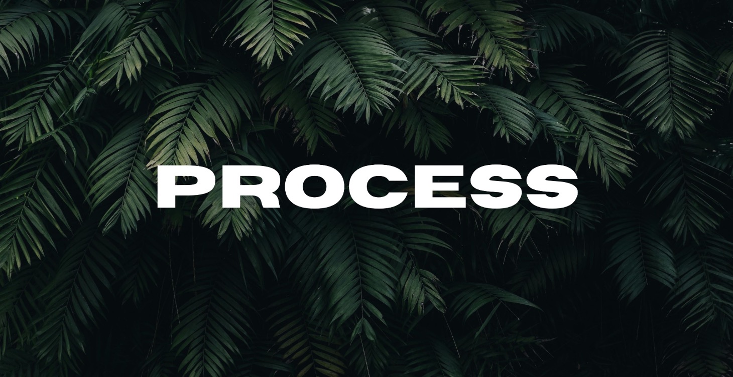 Process