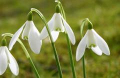 Beatrice Dürrenberger