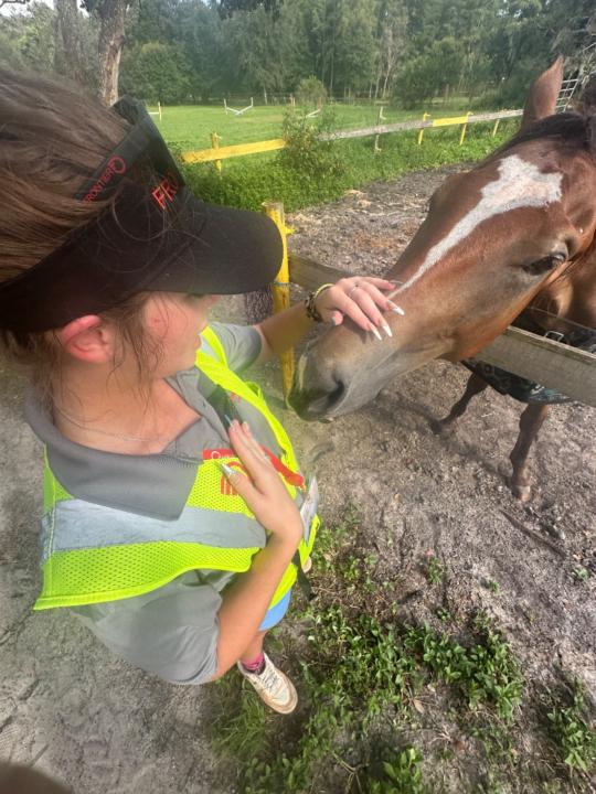 Margo Gulik