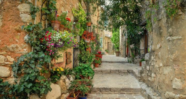 French Life - The easy way !