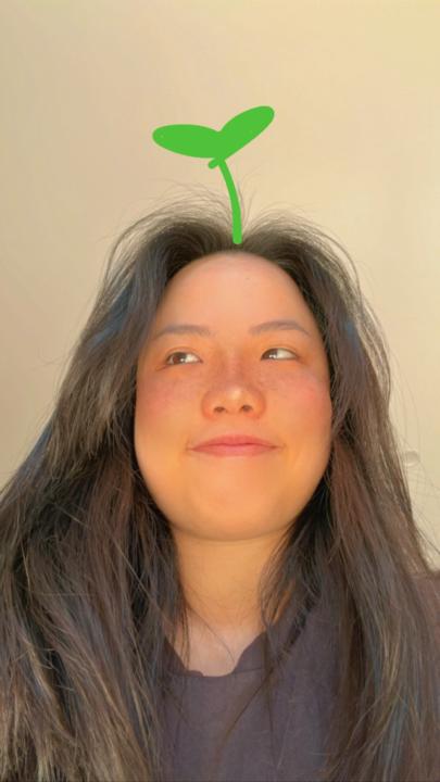 Allison Lin