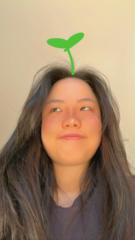Allison Lin
