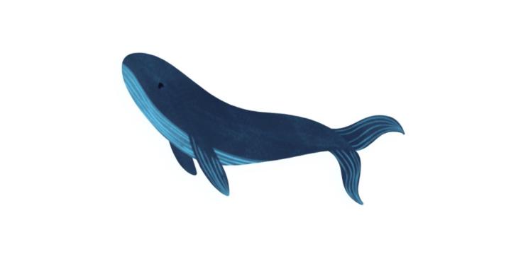 The Info Accelerator