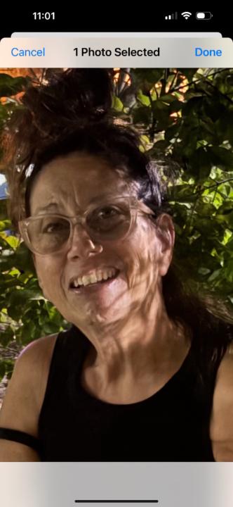 Teri Volpe