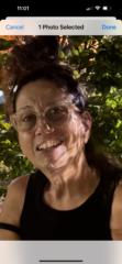 Teri Volpe