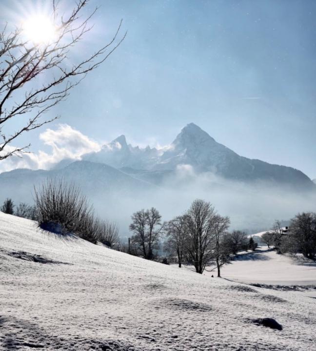 Waris Viscuña Gonzalez