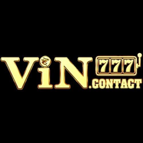 Vin Team