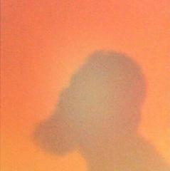 Syed Hashmi