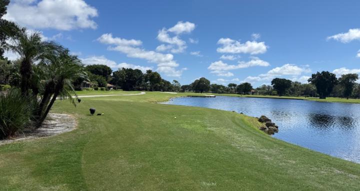 Fix Your Swing Cheap w/Ai