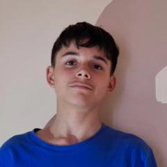 Enis Brieux