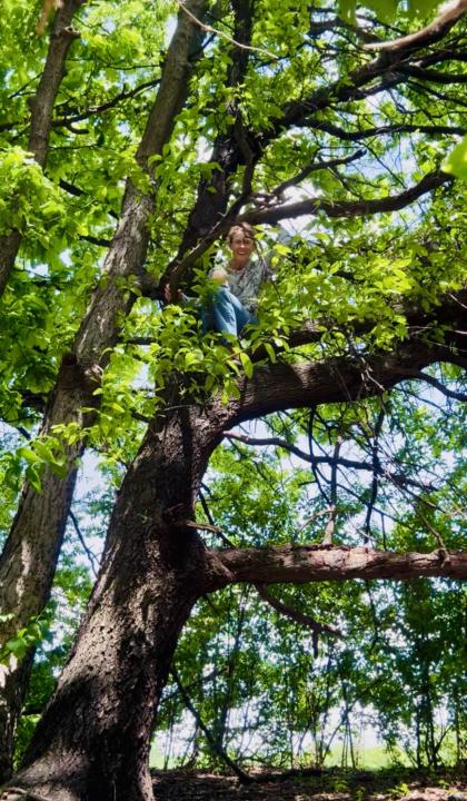 Tree Climbing