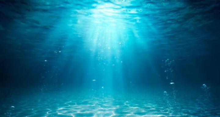 Fish and Aquarium Lovers