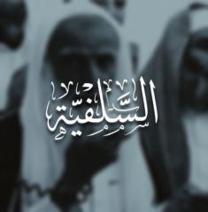 Yaseen Sohaib