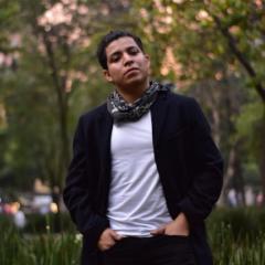 Ricardo Martinez Anaya