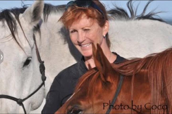 Ellen Carroll