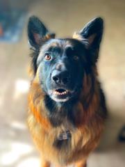 Diane Marie Santiago Santiago