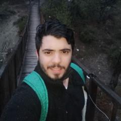Riyad Jaamour