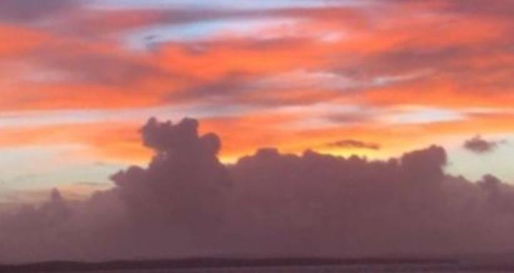 Conscious Choices Collective