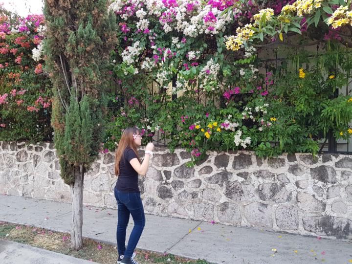 Alicia Hernández Ruiz