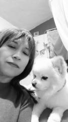 Carolina Castillo hernandez