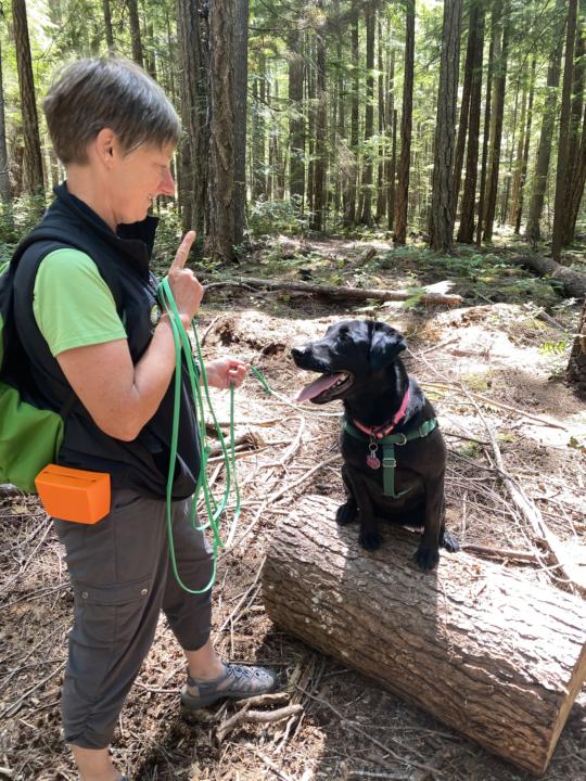 Grab’n Go — What do you take? 🐾🥾🎒