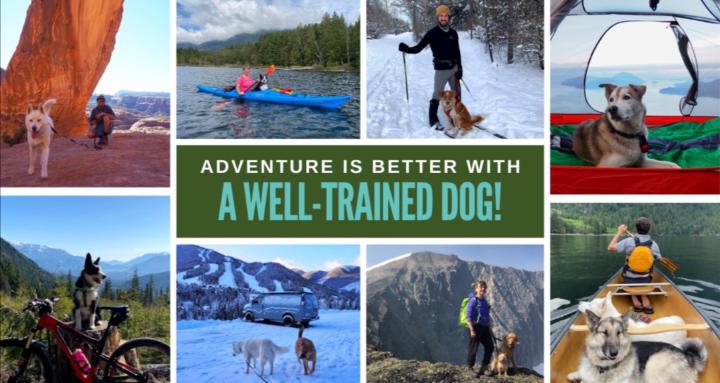 Paw in Hand - Life & Adventure