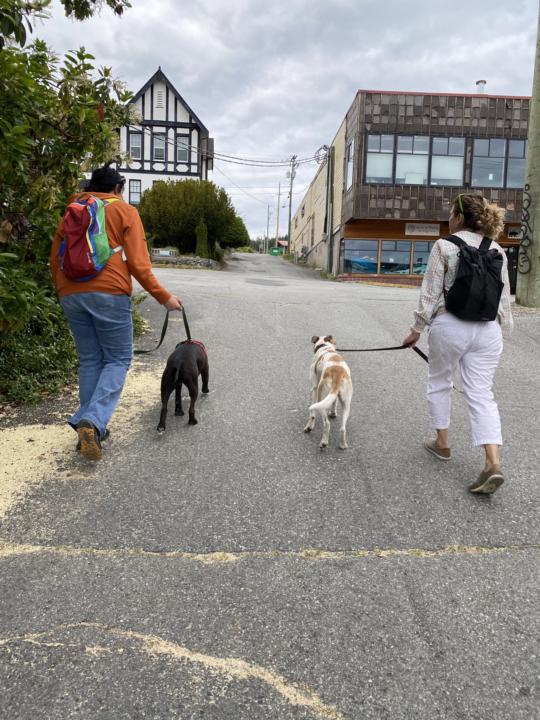 👋 Qathet ACE Monthly IRL Meet-Up – Join Us! 🐾