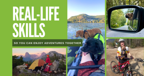 Paw in Hand - Life & Adventure gallery image