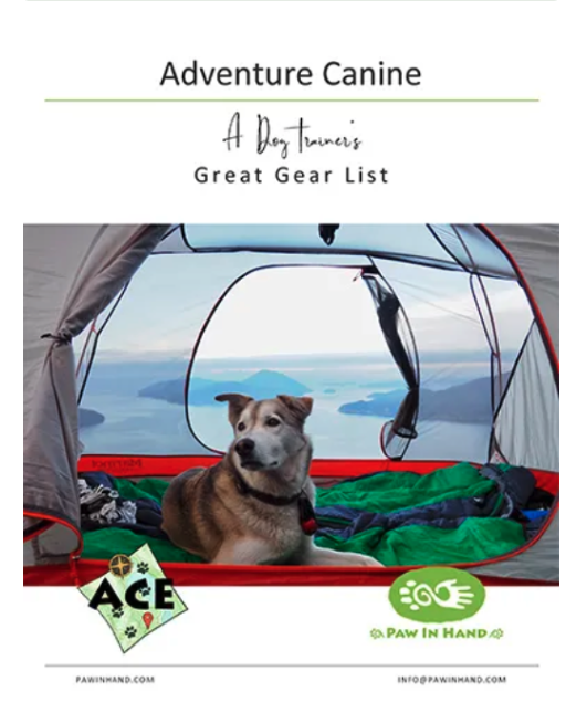 🌟 The Ultimate Dog Adventure Gear List: Have You Downloaded It Yet? 🌟