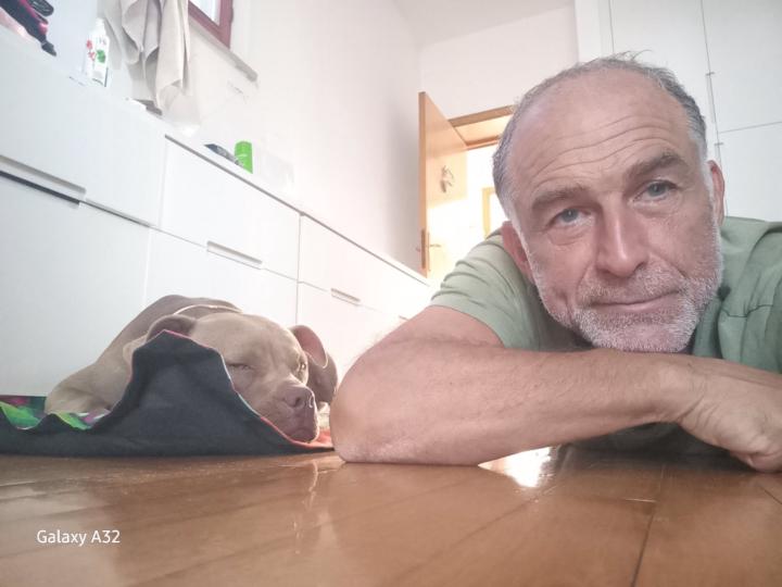 Mario Lattanzi