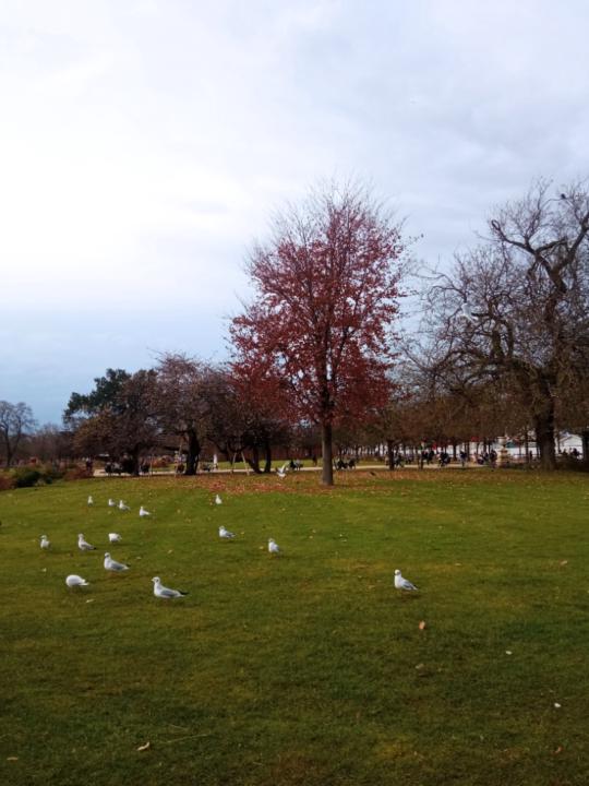 Mohamed Amine Mouffok