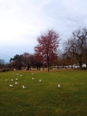 Mohamed Amine Mouffok