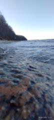 Mario Shoomy