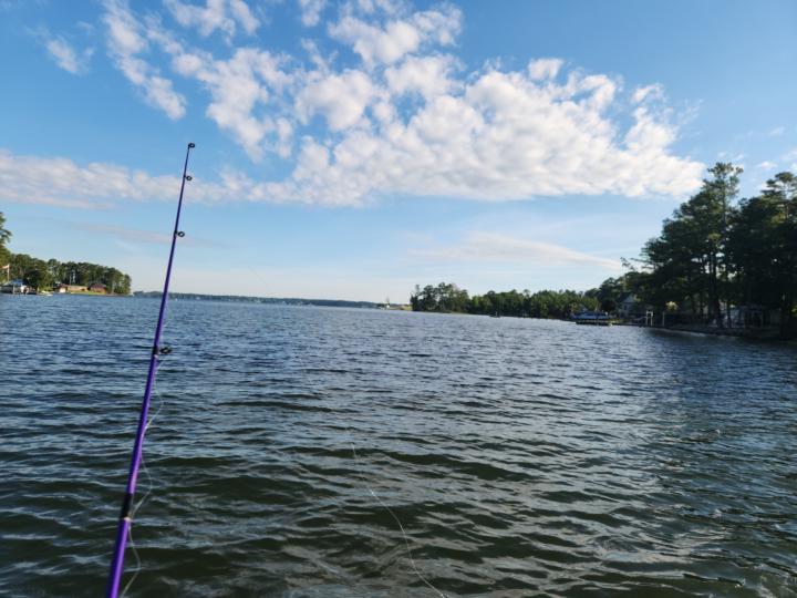 Stock Research from the Dock