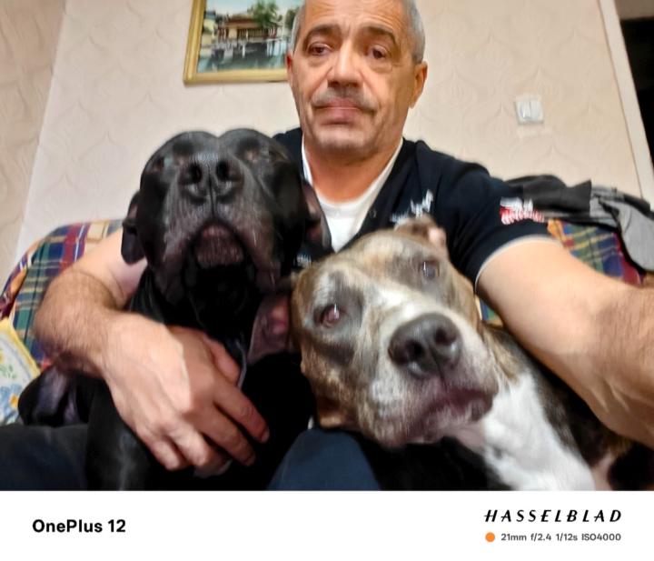 Мартин Петков