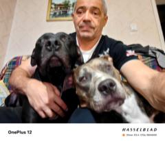 Мартин Петков