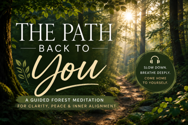 The Path Back To You! 🏞️