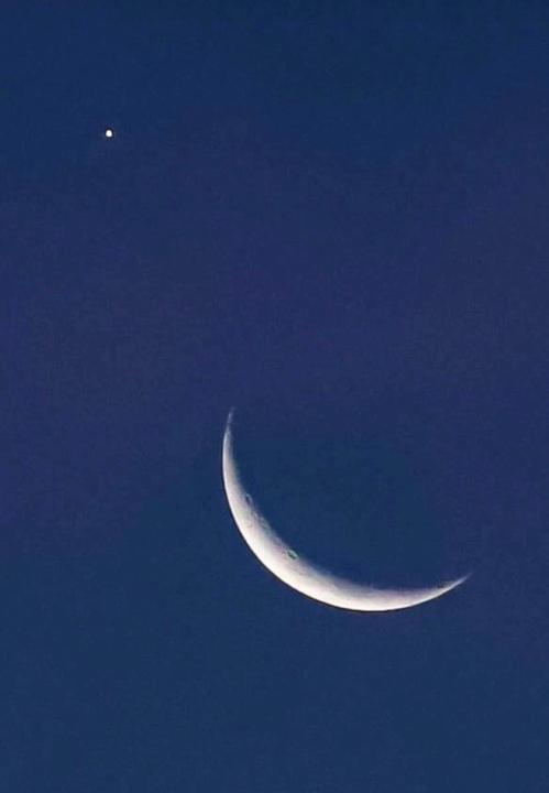 Avistamientos 🌟 Venusinos