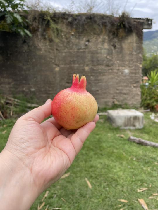 Sutiles Mensajes de Perséfone 🖤