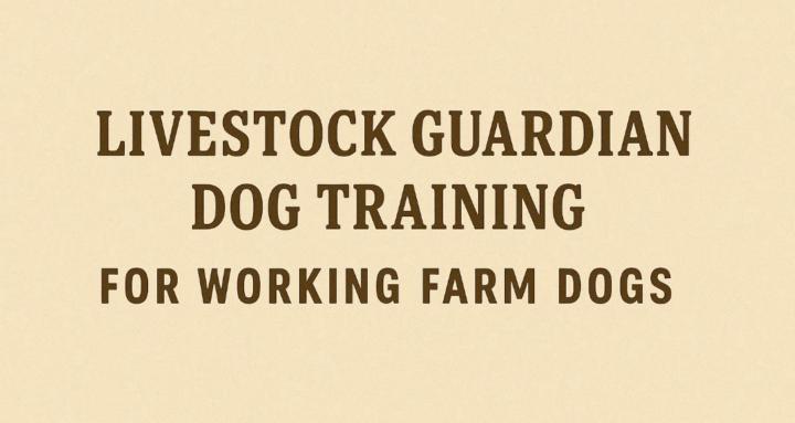 Livestock Guard Dog Skool