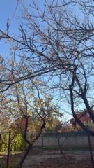 Kübra Küçükaslan