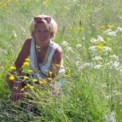 Karin Spanje