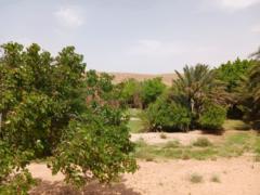 Fouad El moufakkir